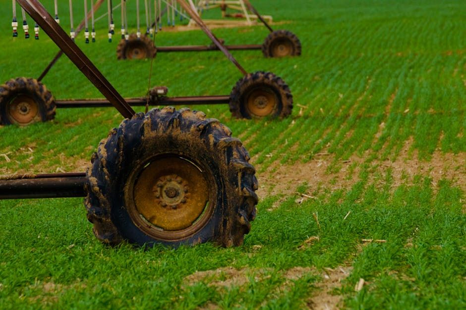 Commercial Tire Service Program