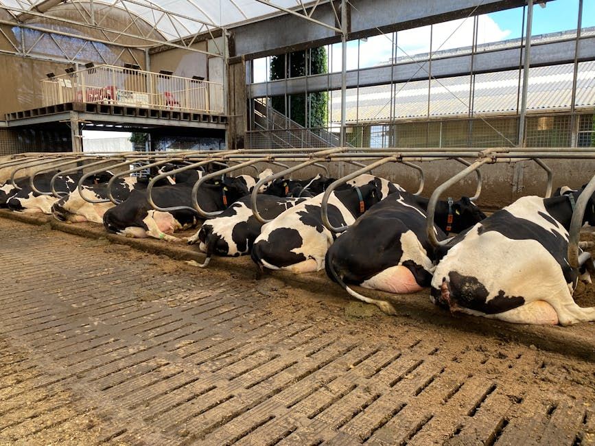 Commercial Dairy Facility Package — Farmer Surplus