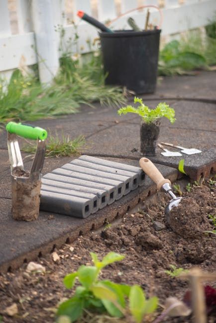 Backyard Garden Seed Starter Package — Farmer Surplus