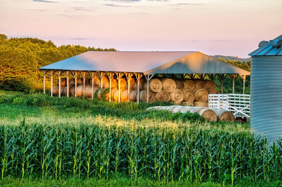 48x96x16 Equipment &amp; Hay Storage — Farmer Surplus