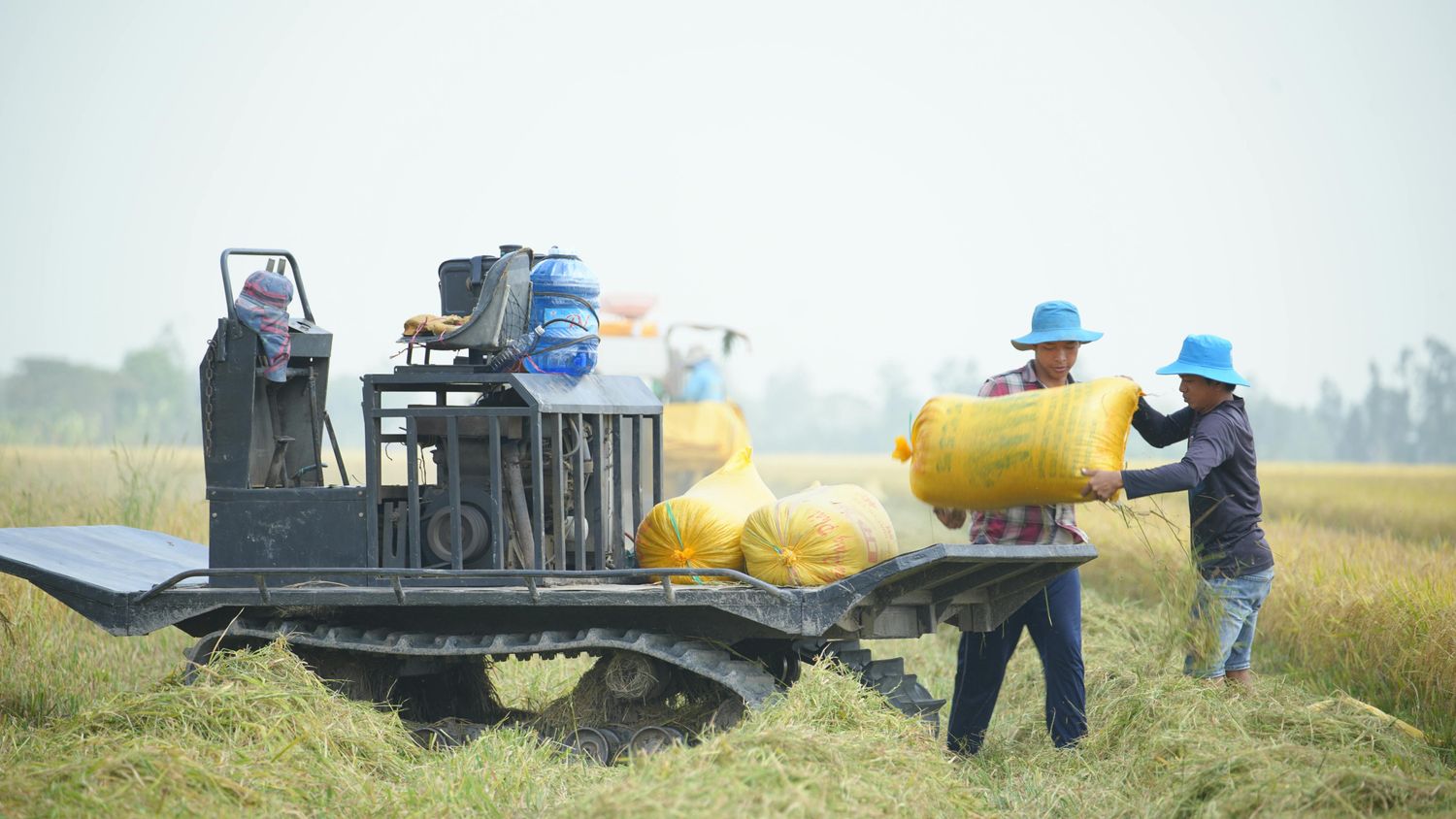 Small Dozer — Farmer Surplus