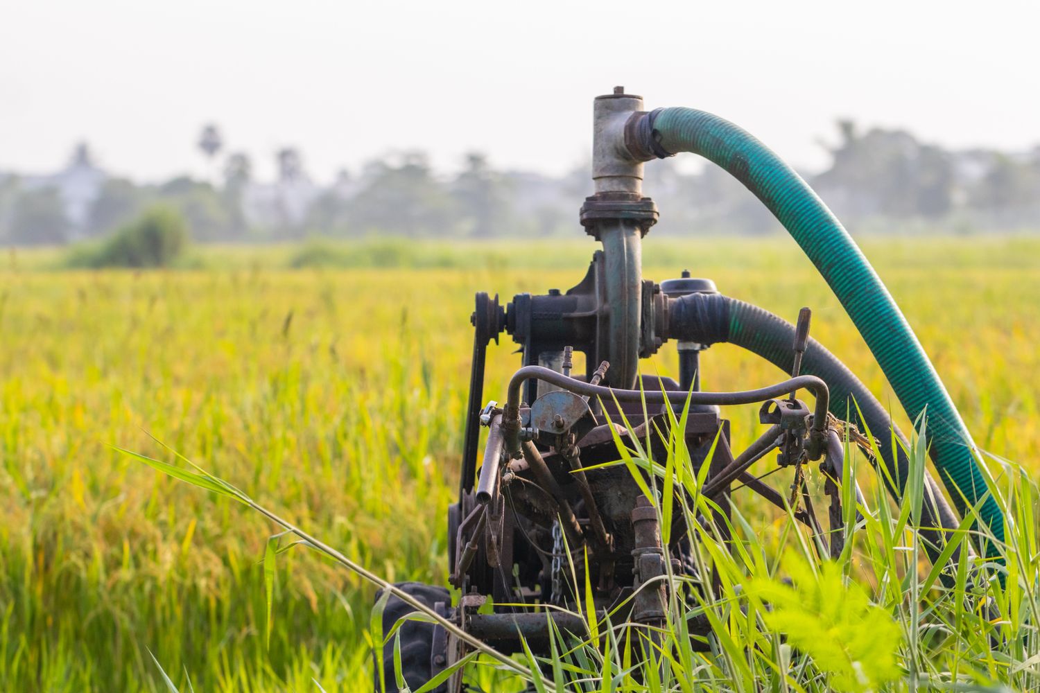 Lagoon Pump — Farmer Surplus