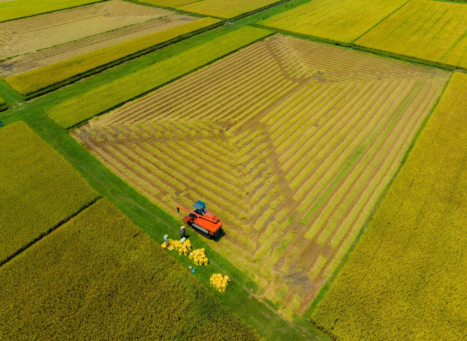 Off-Grid Farm Package — Farmer Surplus