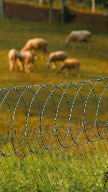 Commercial Security Fence Installation