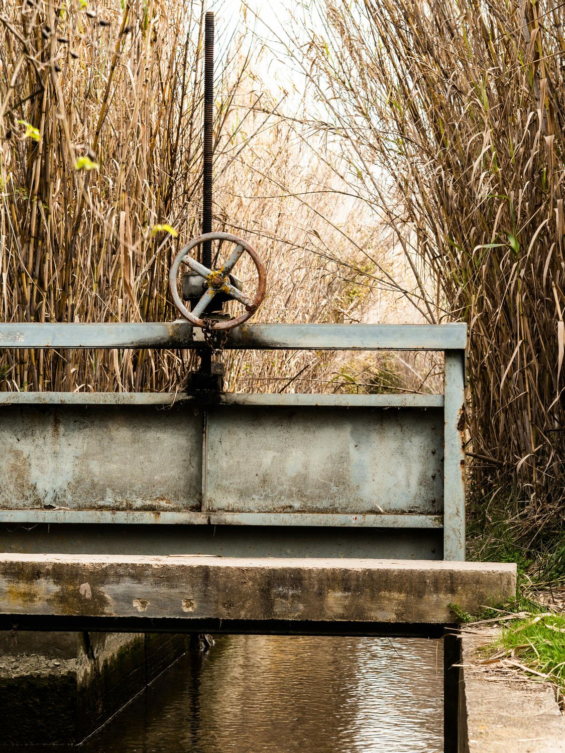 Manual Head Gate — Farmer Surplus