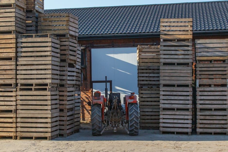 Cold Storage Maintenance Service