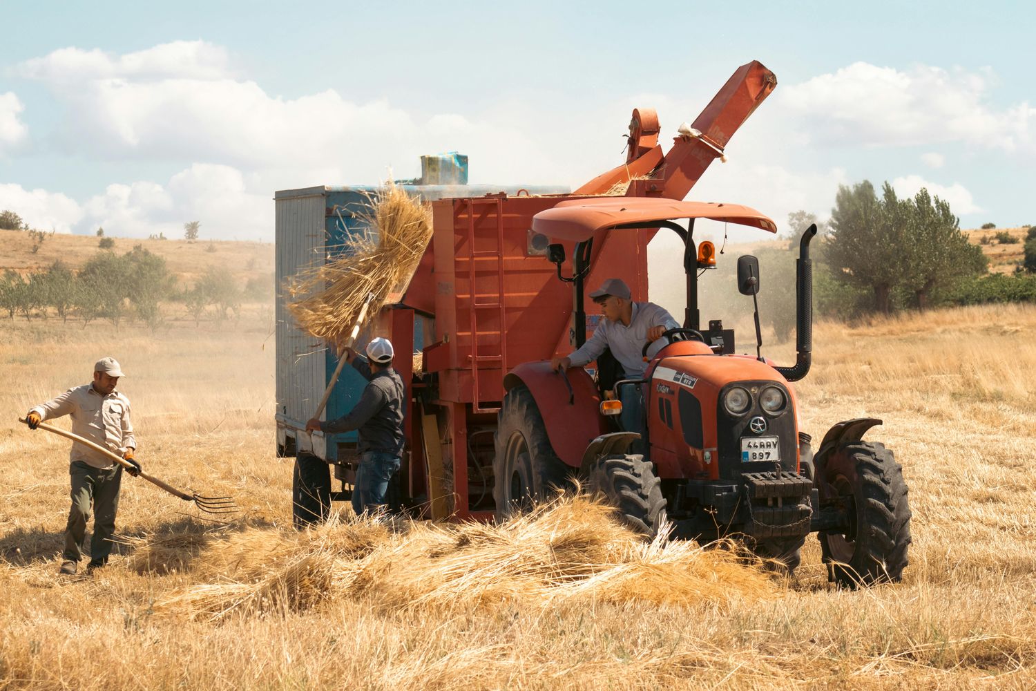 Mid-Size Ranch Working System — Farmer Surplus