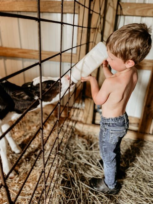 Bottle Calf — Farmer Surplus