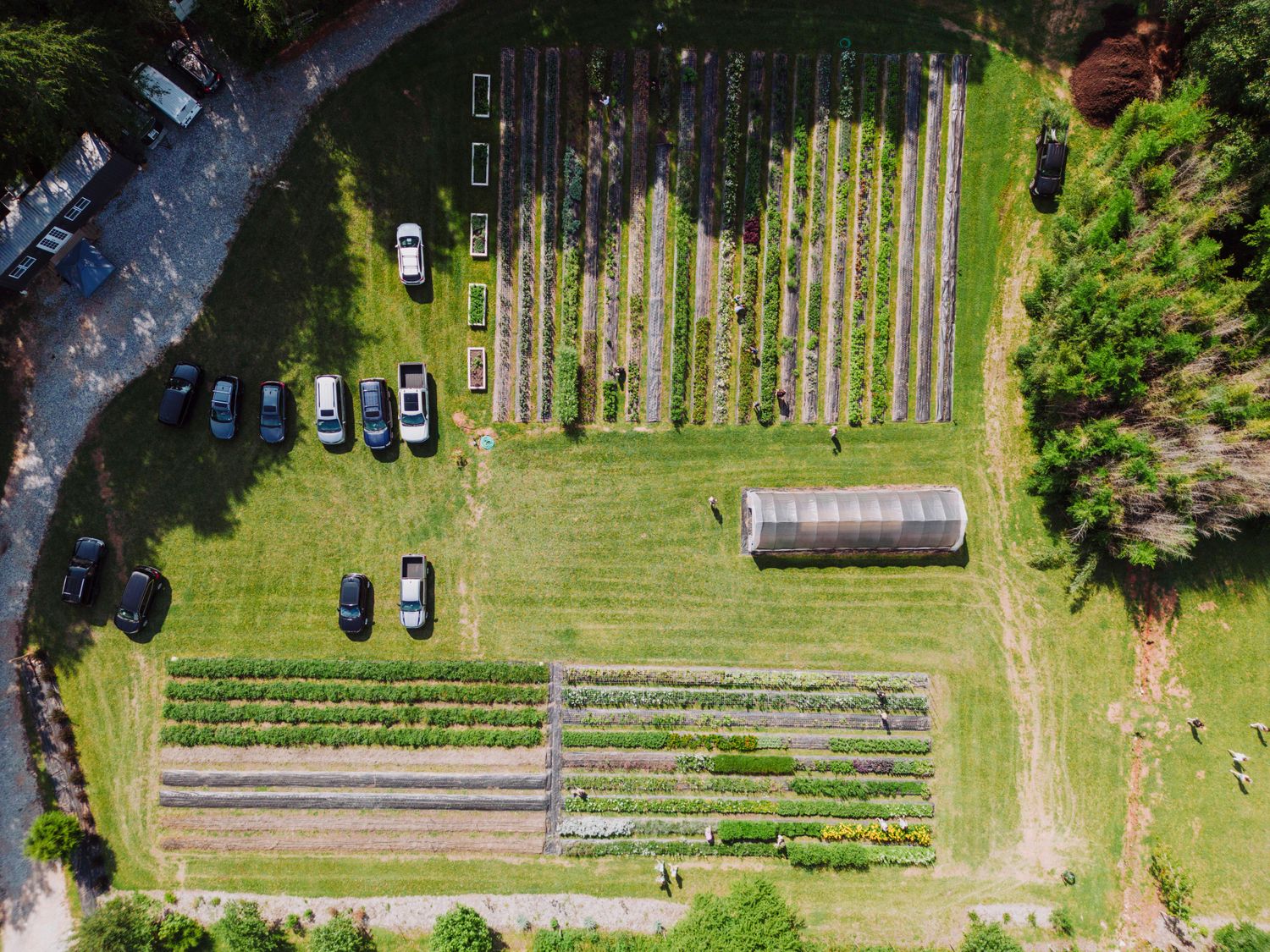 One Acre Market Garden System — Farmer Surplus