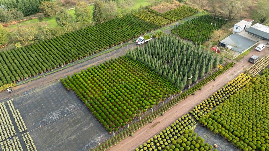 Commercial Nursery Setup Service