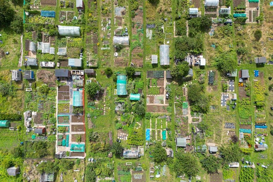 Community Garden Permaculture System — Farmer Surplus