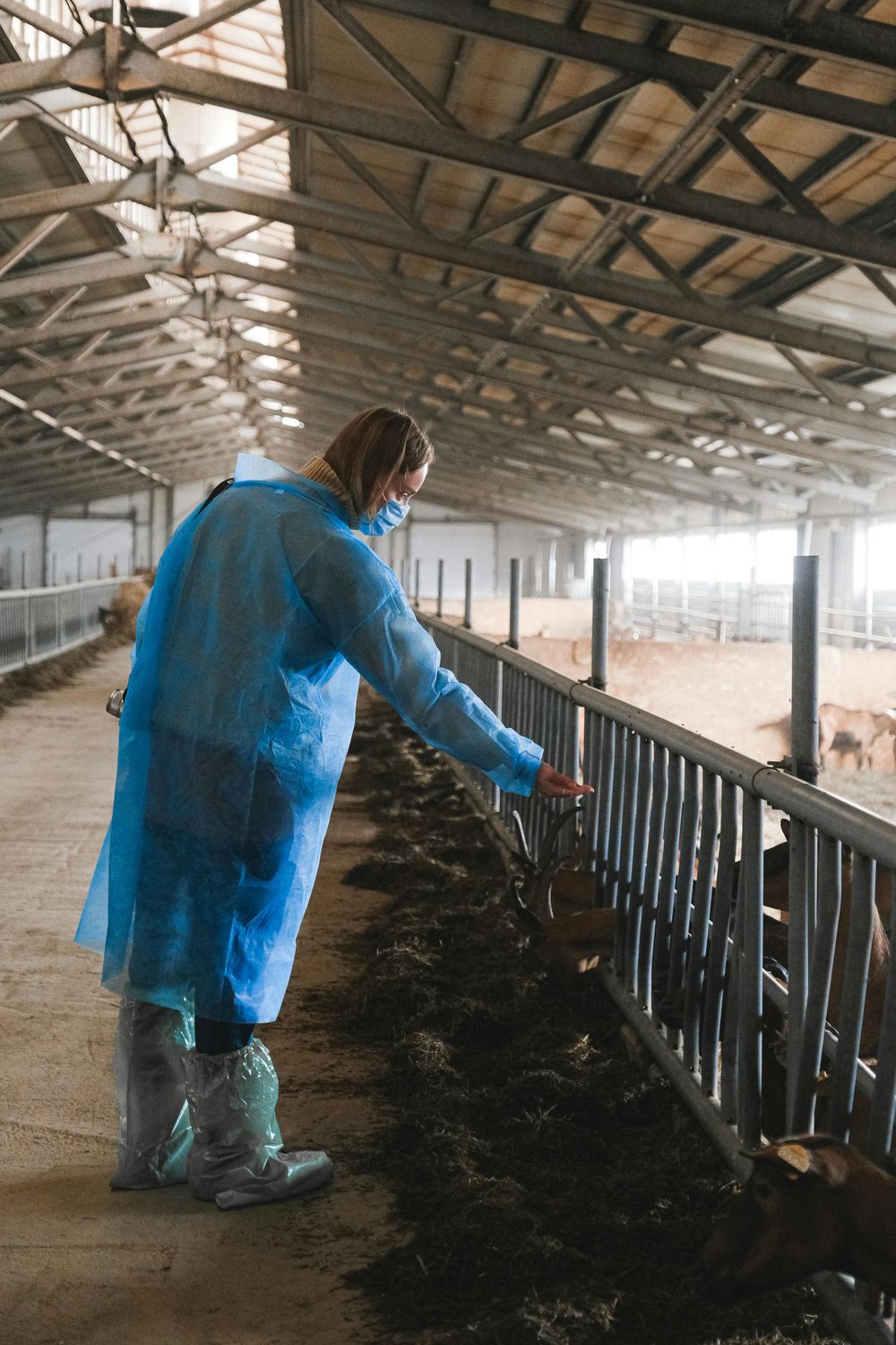 Farm Animal First Aid Kit — Farmer Surplus