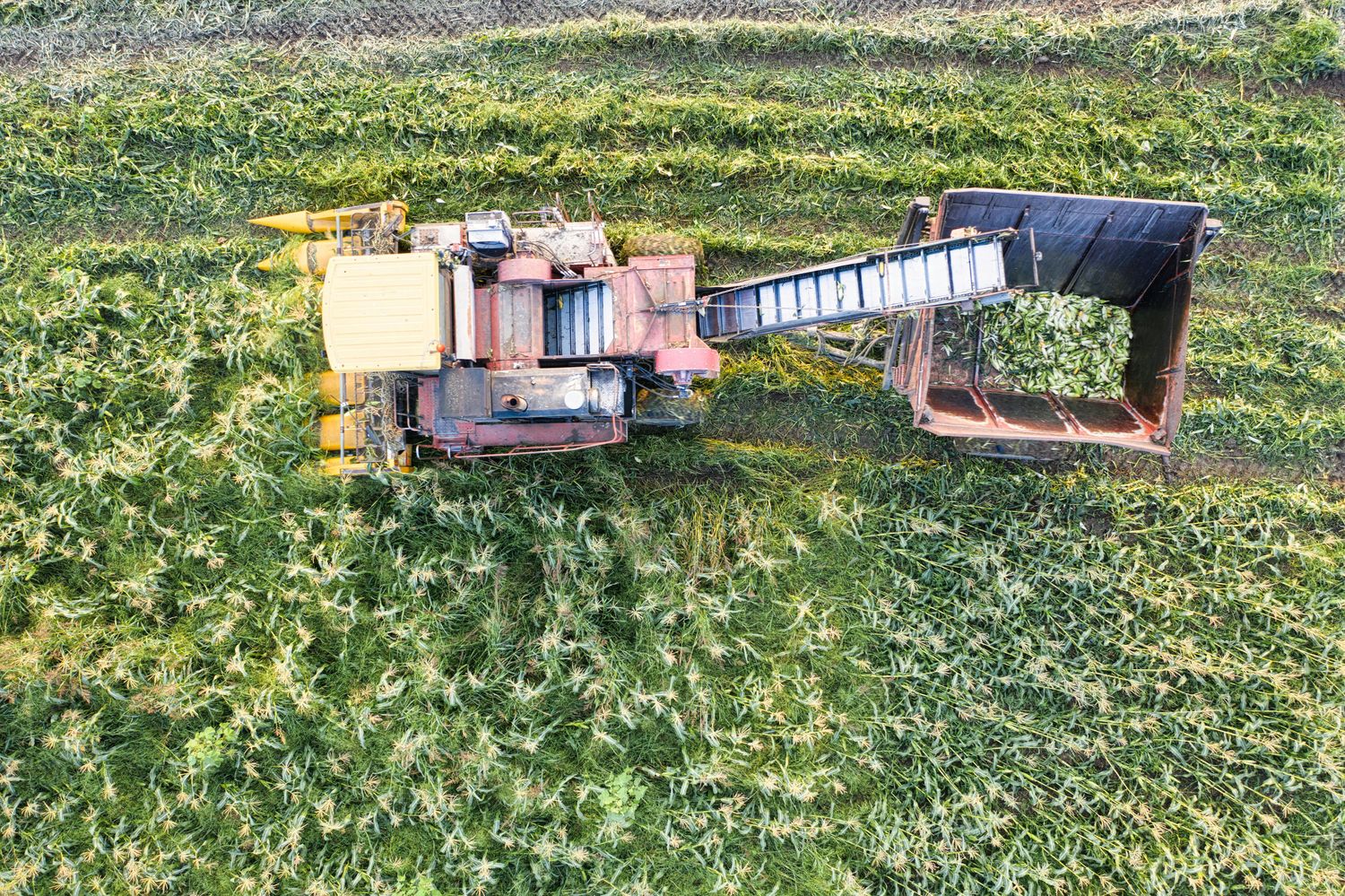 One Hundred Acre Regenerative Farm Plan — Farmer Surplus