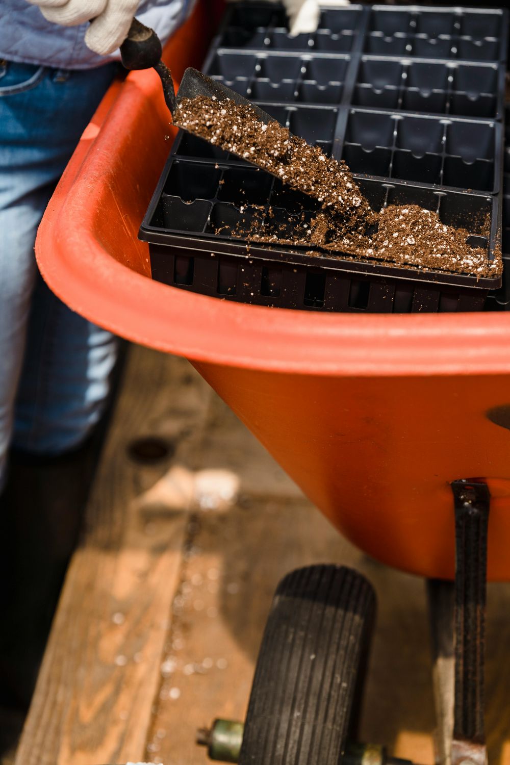 Deluxe Home Garden Seed Package — Farmer Surplus