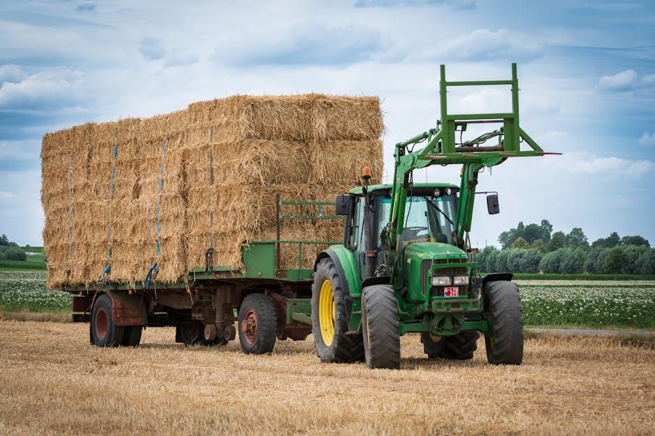 Bale Fork — Farmer Surplus