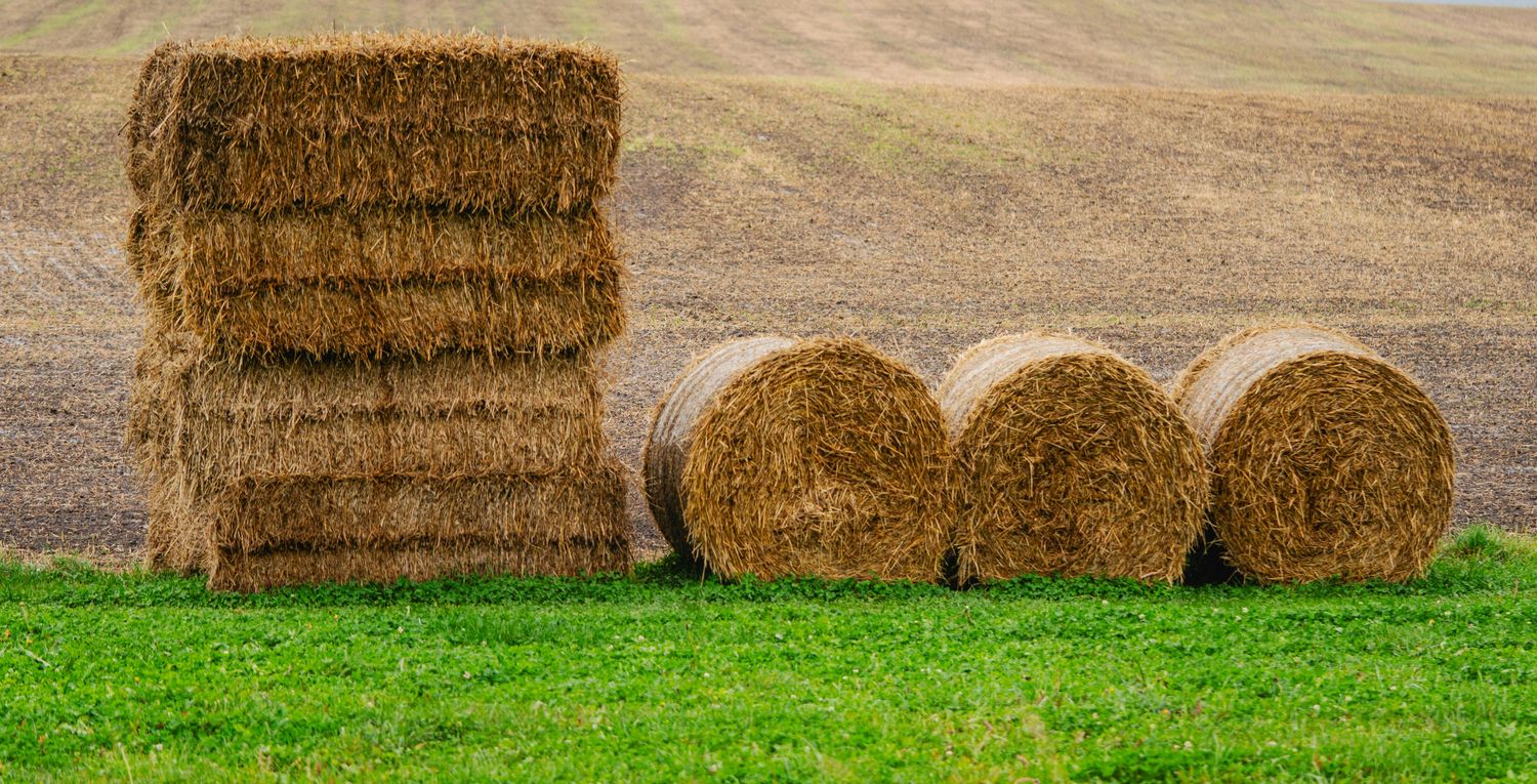 Small Livestock Fodder System — Farmer Surplus