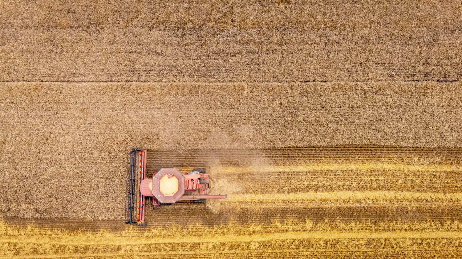Mid-Size Dozer — Farmer Surplus