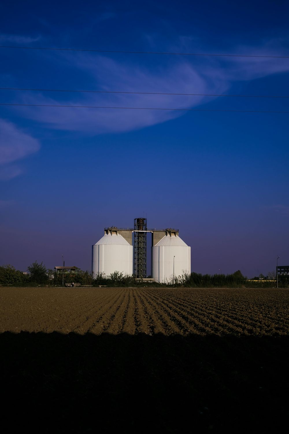 Semen Storage Tank — Farmer Surplus