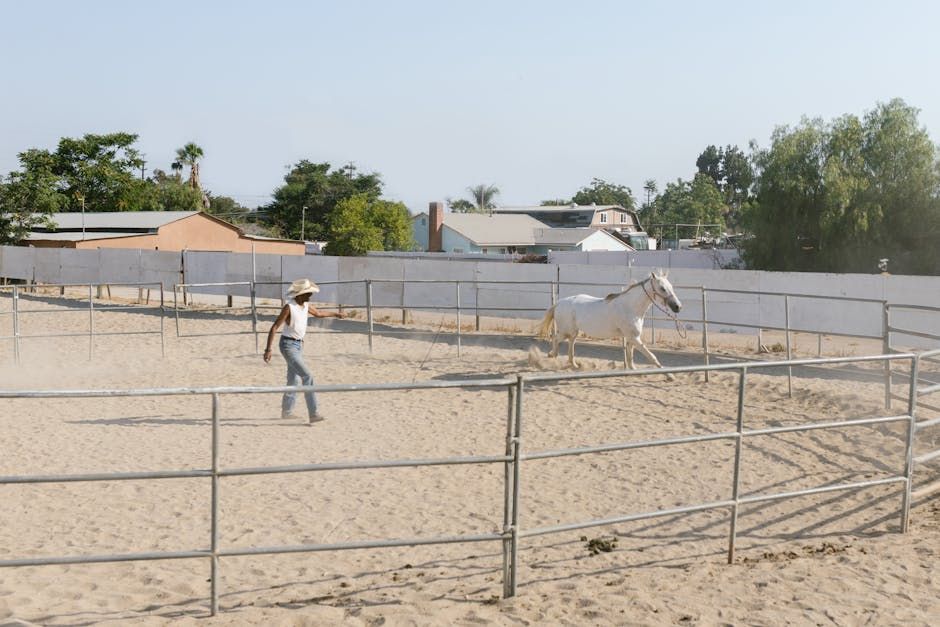 50 ft Round Pen Package — Farmer Surplus