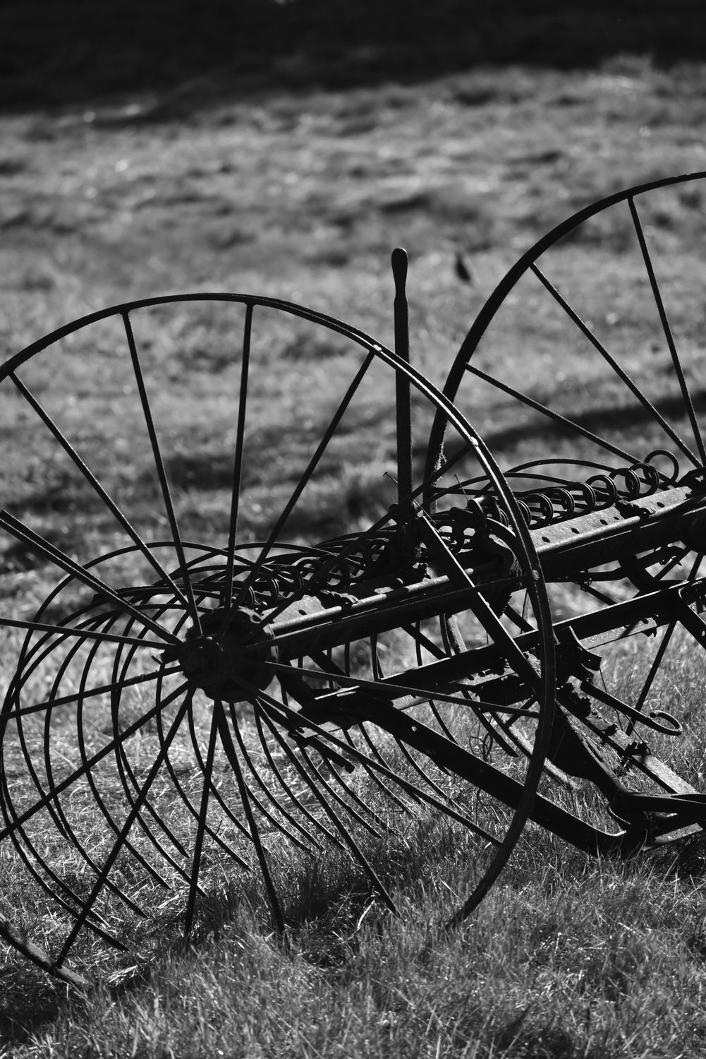 Hay Rake — Farmer Surplus