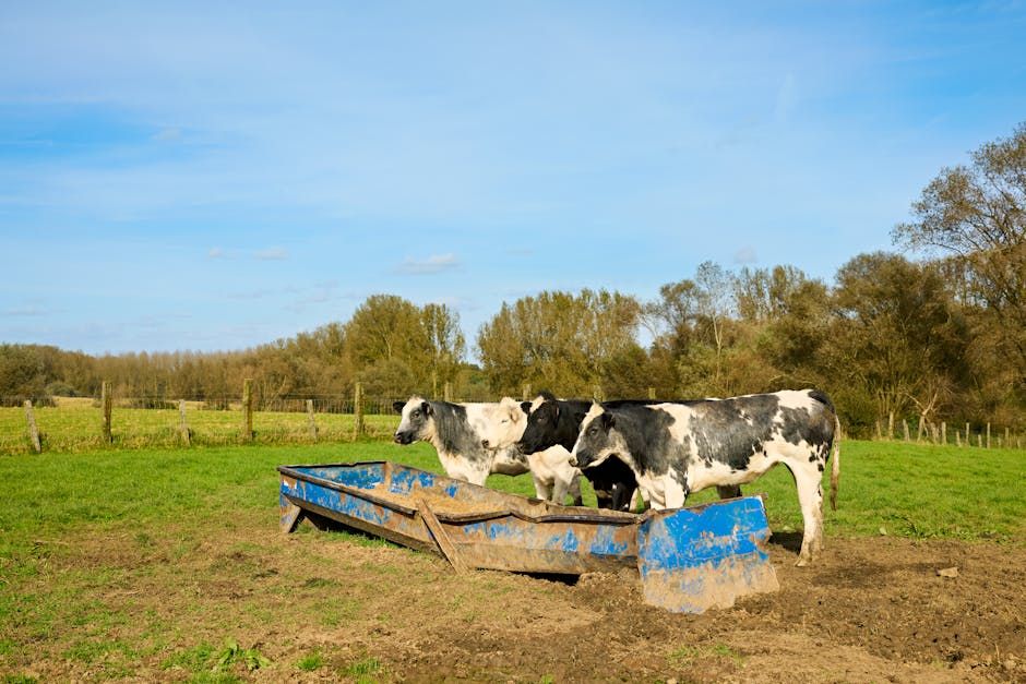 10 ft Feed Bunk — Farmer Surplus