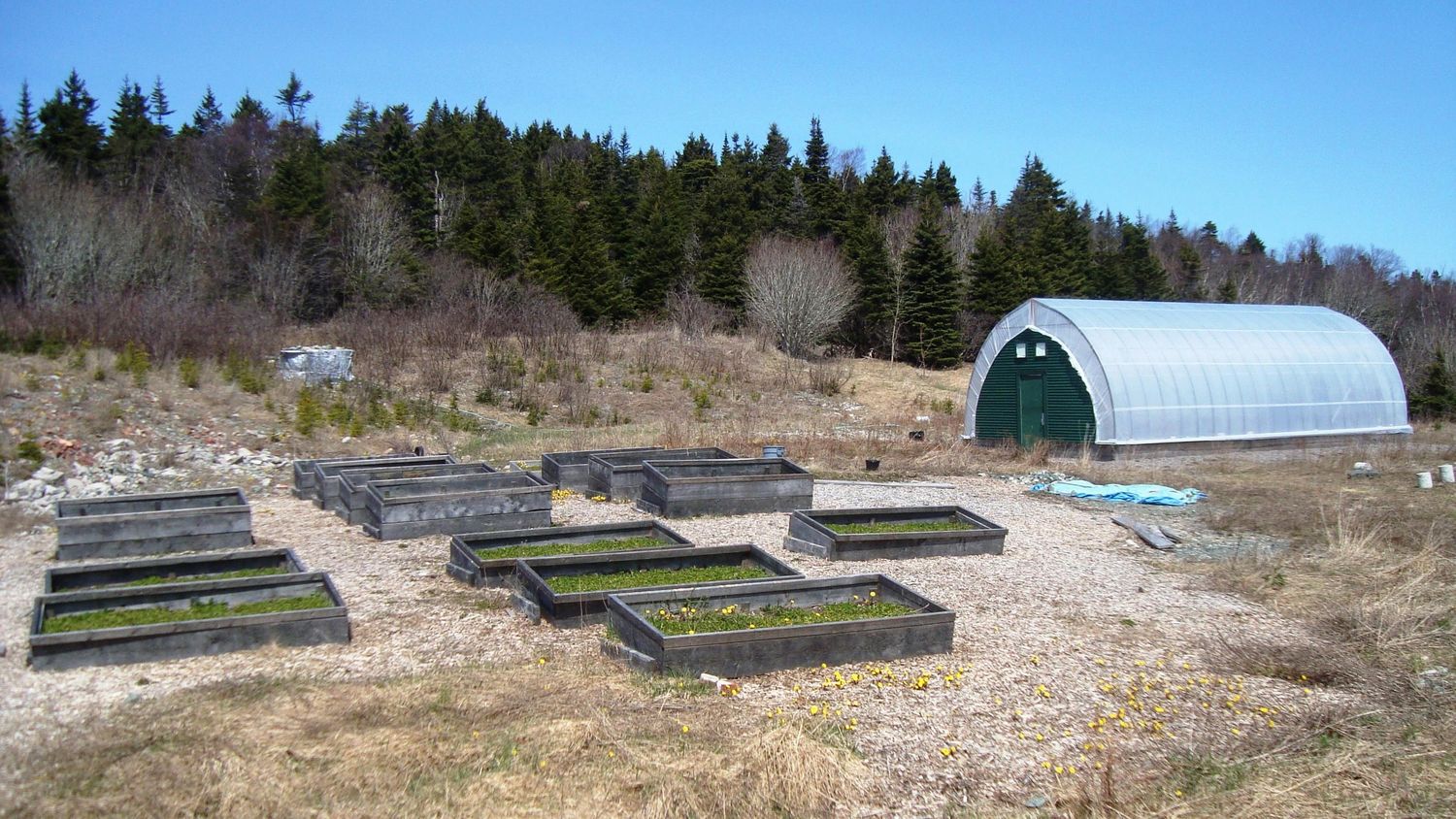 Six Raised Bed Family Garden System — Farmer Surplus