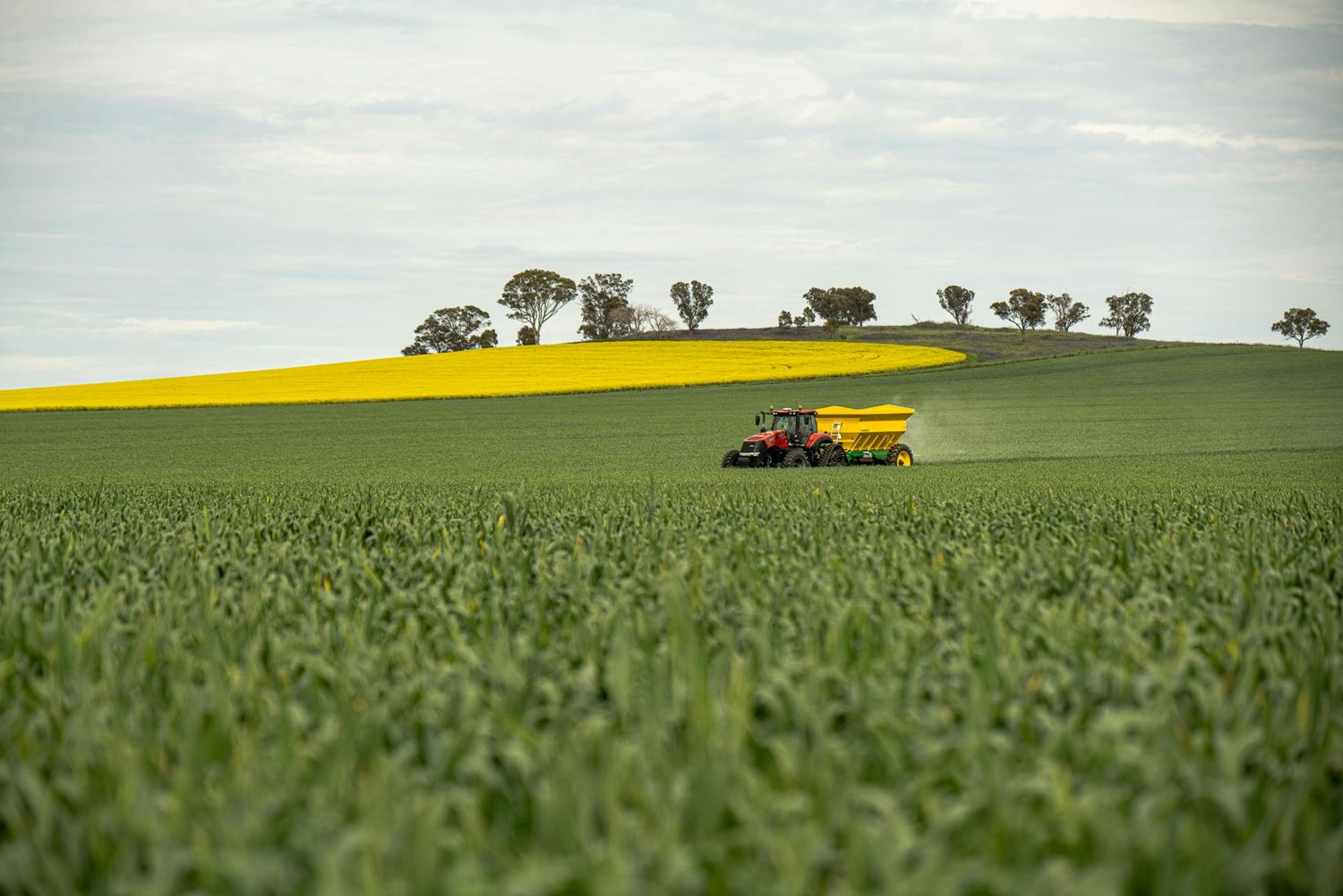 Fertilizer Spreader — Farmer Surplus