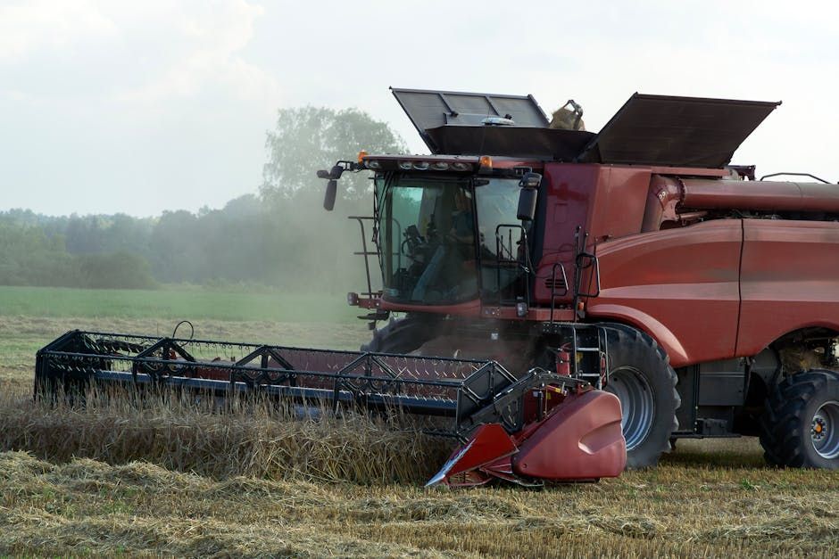 Bearing Replacement — Farmer Surplus