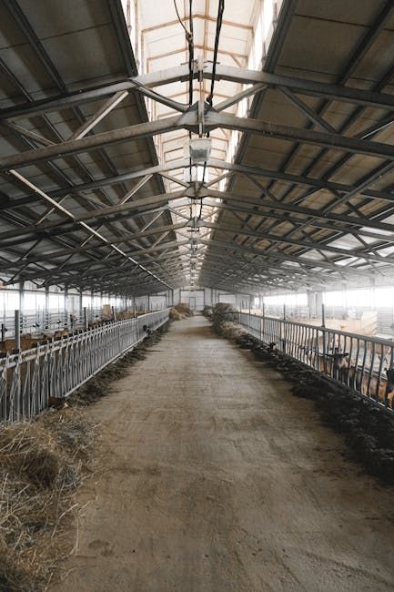 40x60x12 Farm Utility Shop — Farmer Surplus