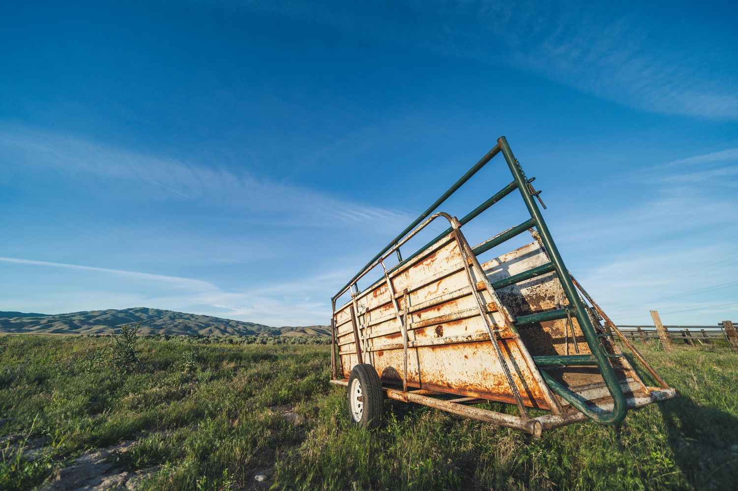 Team Roping Box Package — Farmer Surplus