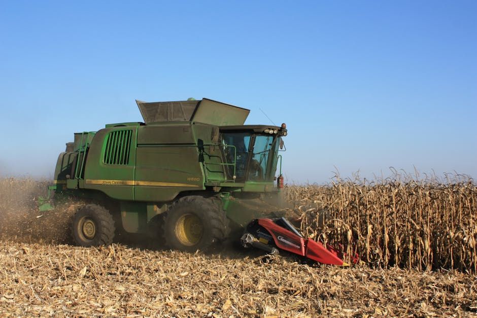 8 Row Corn Head — Farmer Surplus