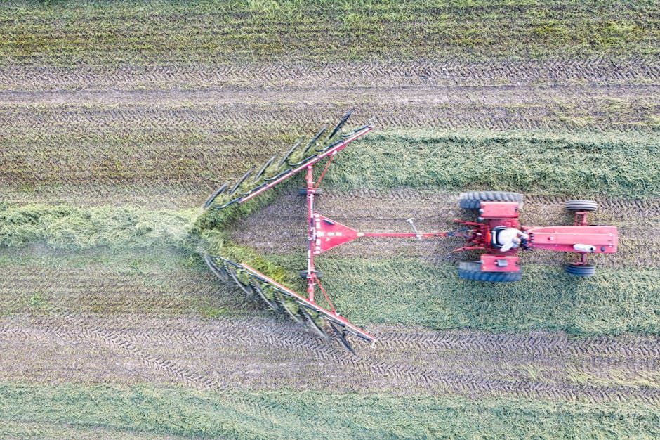 Commercial Hay Rake — Farmer Surplus