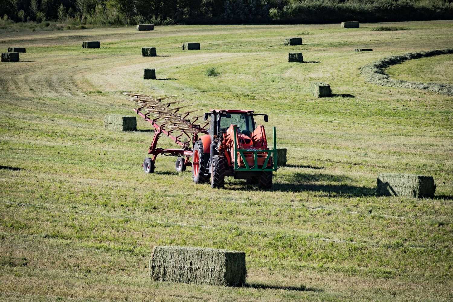 Hay Tedder — Farmer Surplus