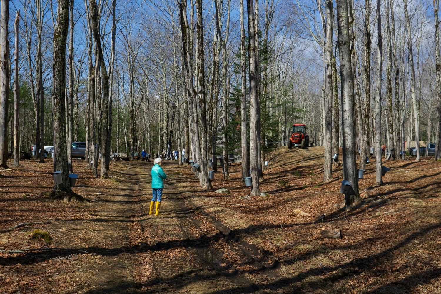 One Acre Homestead Food Forest — Farmer Surplus