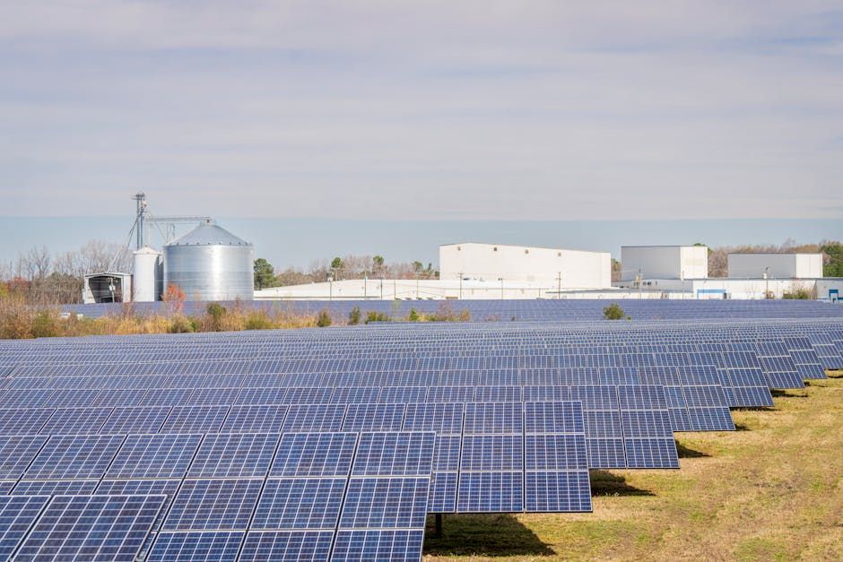 Commercial Solar Farm Installation