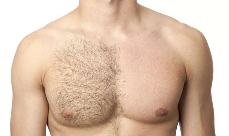 Half Chest