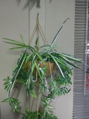 Iron hanging basket Flower pot medium 