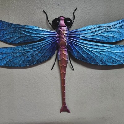Dragonfly