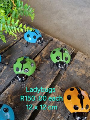 Ladybugs Green and Black