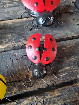 Ladybugs 2 piece medium and large