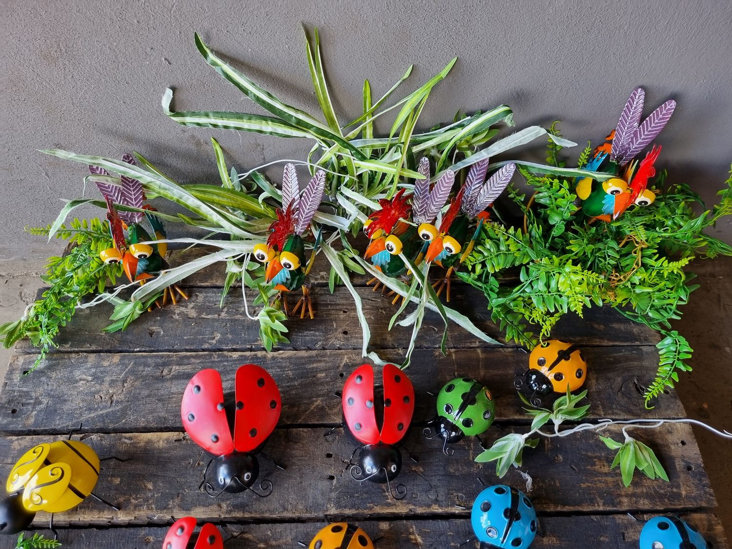 Ladybugs