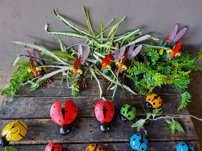Ladybugs