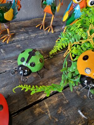 Ladybugs