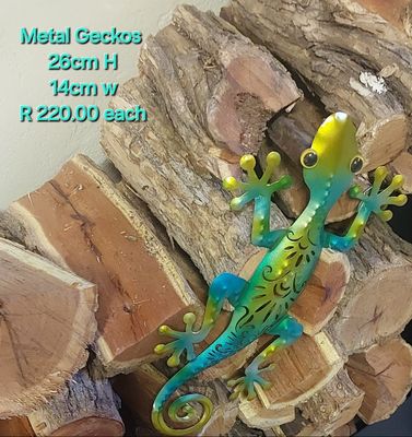 Lizard