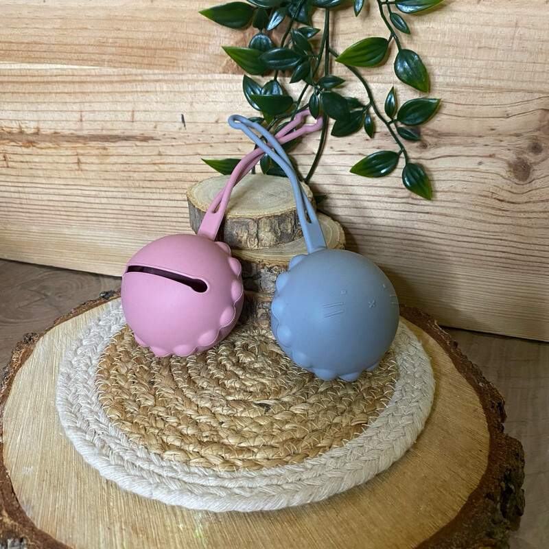 Range tétine silicone