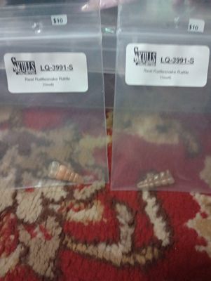 Rattlesnake rattle (small)