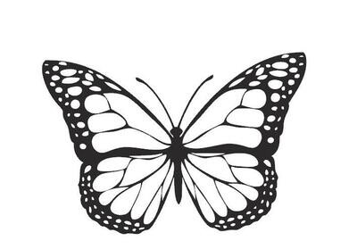 Wand Tattoo - Schmetterling