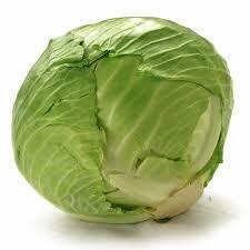 Cabbage white