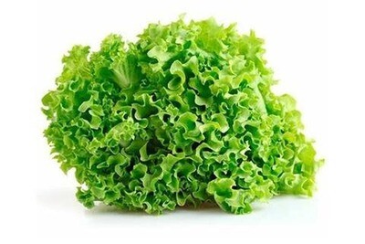 Lettuce green frill 500g