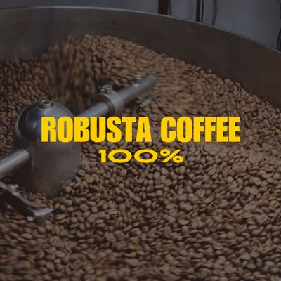 100% PREMIUM ROBUSTA